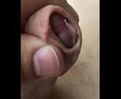 SPH of cucks small clitty from sissy hentai clitty