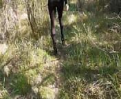 Walking on the wood wearing a black dress, pantyhose and high heels ankle boots from a walk in the forest staring olga peter rape sex video in
