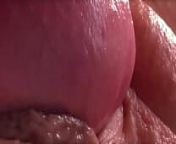 Extremily close-up pussyfucking. Macro Creampie from bikini macro