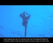Jaws: Sexy Nude Blonde Skinny Dipping Girl GIF from nude jaw