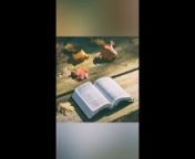 Exodus 7-11 KJV (Full Bible Read Through Video #12) from bible chuda chudi video