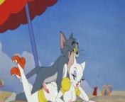 Tom Fuck from tom and jerry cartoon sex