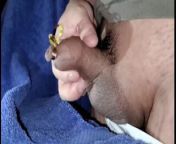 Uncircumcised growing micropenis, tied up foreskin, precum play, the usual kinks ;P from precum play