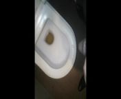 I pee in a 5-star hotel bathroom from divya marathi sex toilet peeing