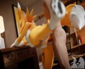 Renamon Being Mastered Leg up Standing Doggystyle Animation from henimon