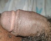 THIS IS HOW MY PENIS FEEL NOW BIG PENIS from suhagraat pron xxx sceneum asi